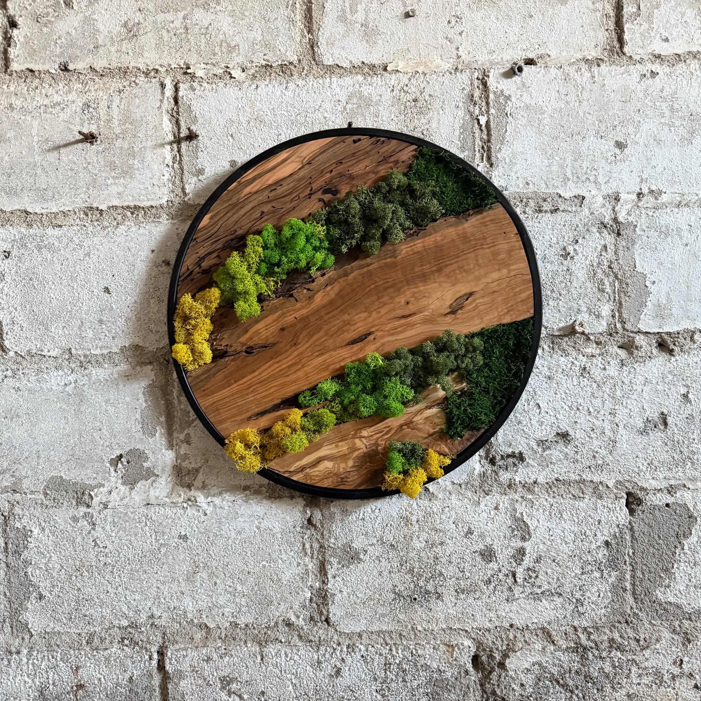 Natural Moss and Olive Wood Wall Decor - Round Metal Frame (Custom Sizes)