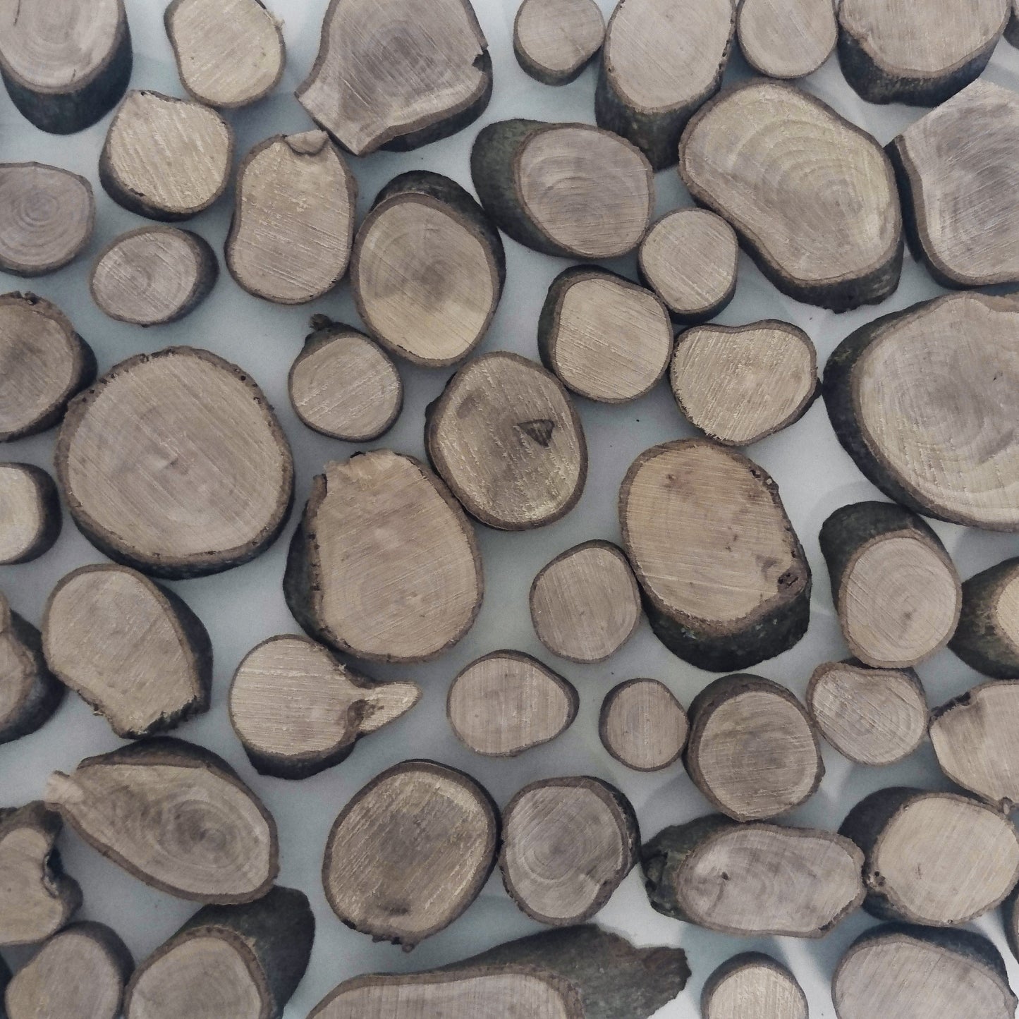 100-piece Small Olive Wood Slices for Epoxy Projects