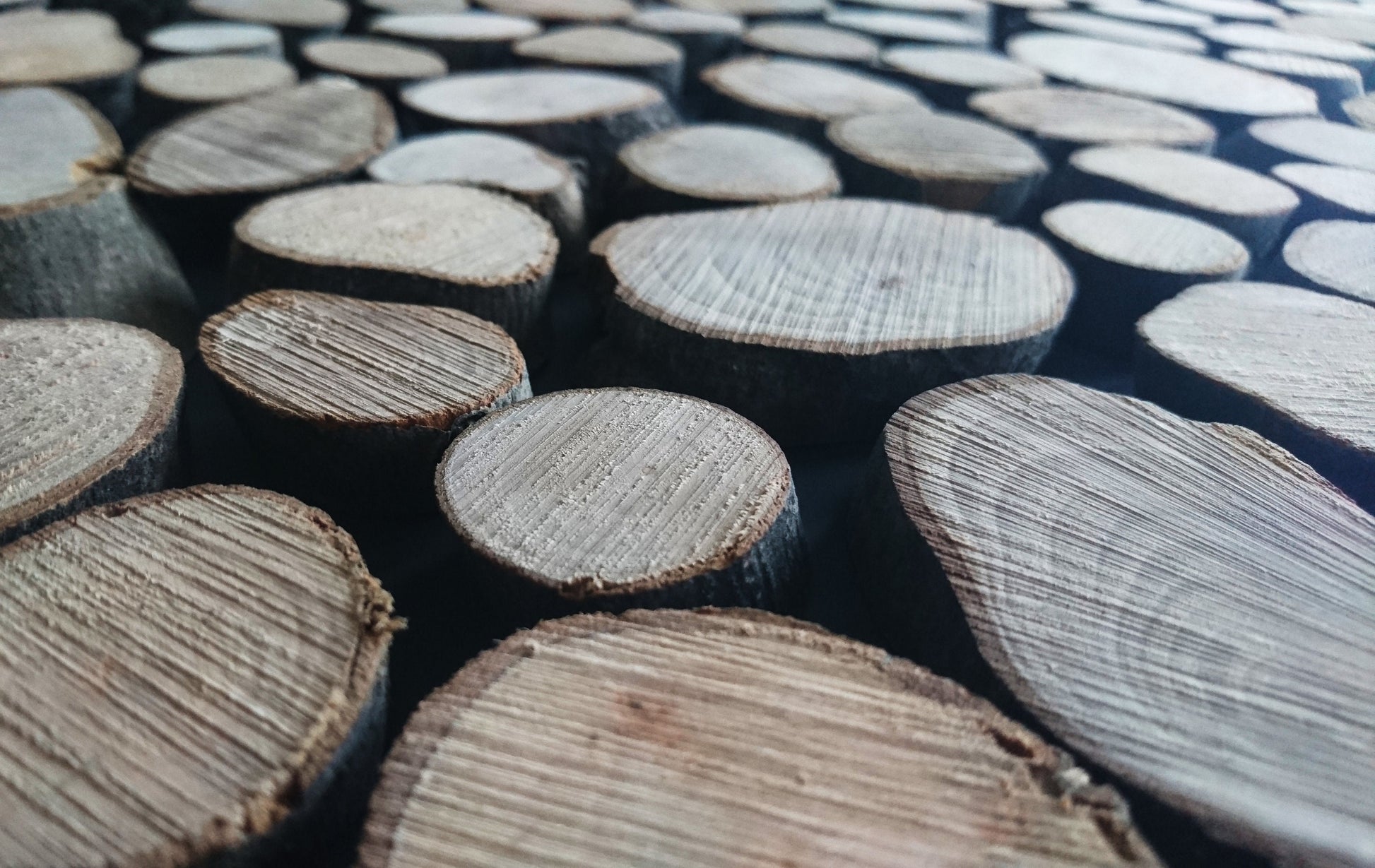 100-piece Small Olive Wood Slices for Epoxy Projects