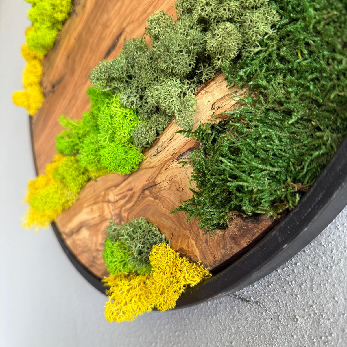 Round Moss and Olive Wood Wall Art - Metal Frame, Sustainable Decor