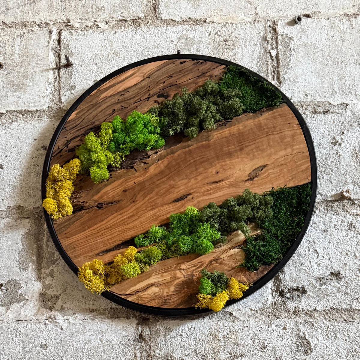 Round Moss and Olive Wood Wall Art - Metal Frame, Sustainable Decor