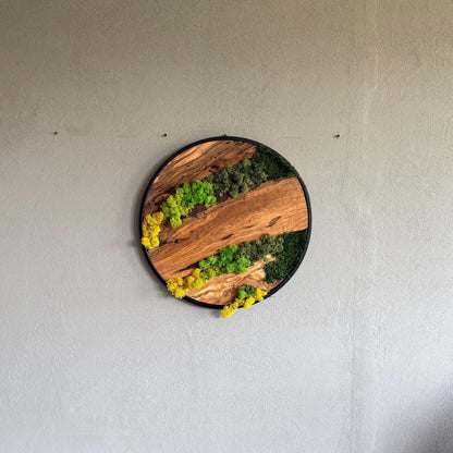 Round Moss and Olive Wood Wall Art - Metal Frame, Sustainable Decor