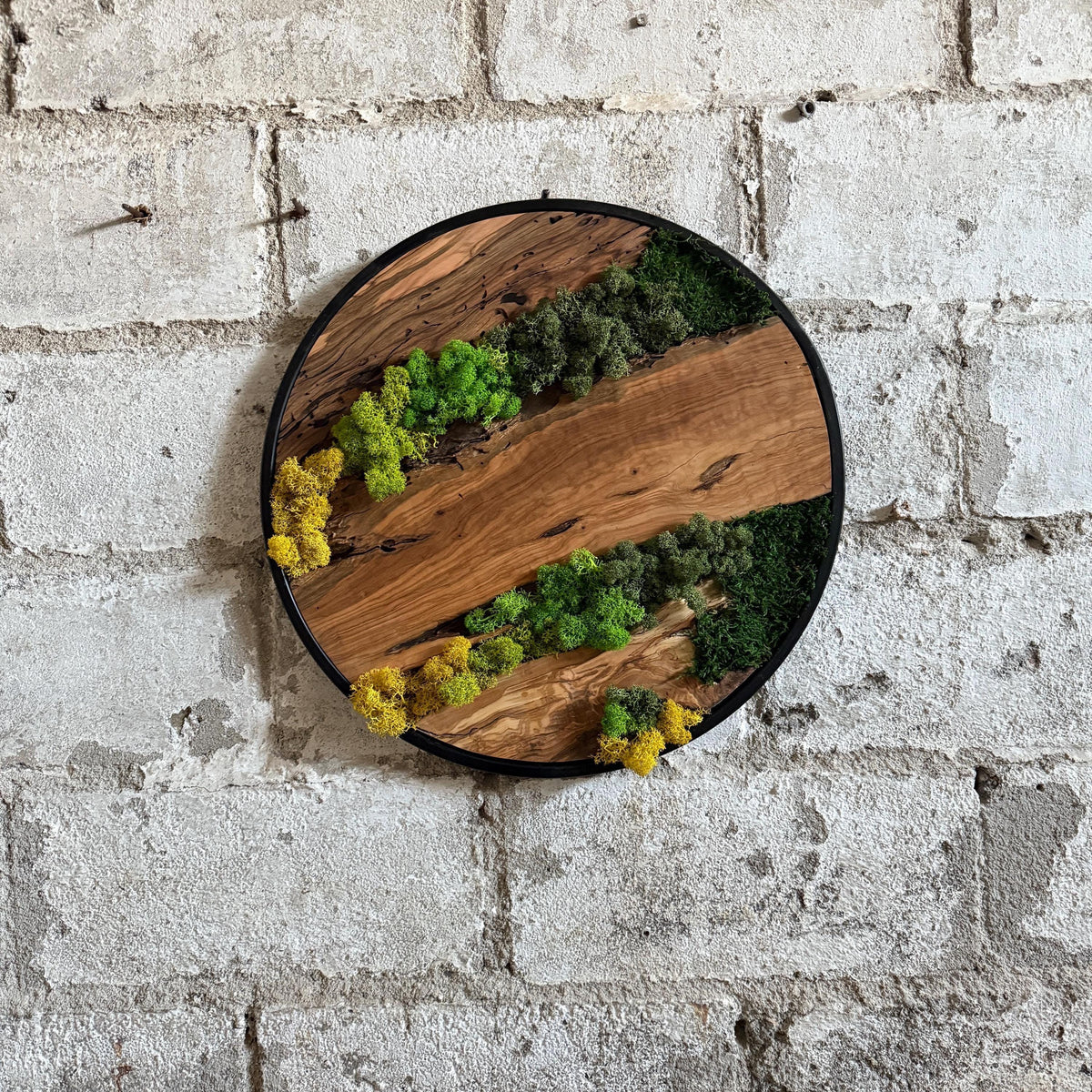Round Moss and Olive Wood Wall Art - Metal Frame, Sustainable Decor