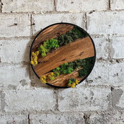 Round Moss and Olive Wood Wall Art - Metal Frame, Sustainable Decor