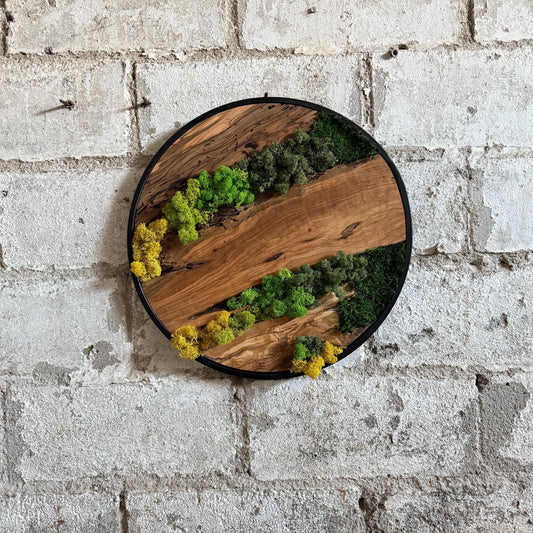 Round Moss and Olive Wood Wall Art - Metal Frame, Sustainable Decor