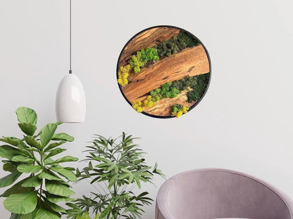 Round Moss and Olive Wood Wall Art - Metal Frame, Sustainable Decor