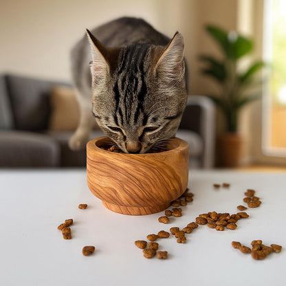 Personalized Olive Wood Pet Bowl | Handmade Cat - Small Dog Feeder | 10 cm & 12 cm