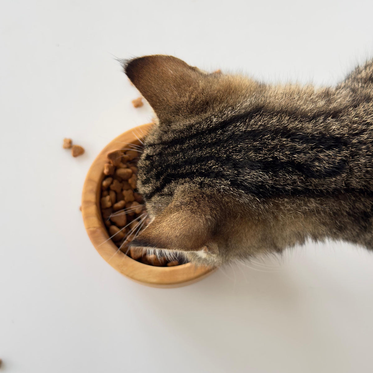 Personalized Olive Wood Pet Bowl | Handmade Cat - Small Dog Feeder | 10 cm & 12 cm